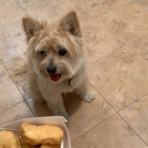 Meet your Posher, Katelyn